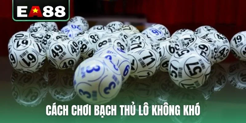 Cách chơi bạch thủ lô không khó nhưng tỷ lệ trúng thấp